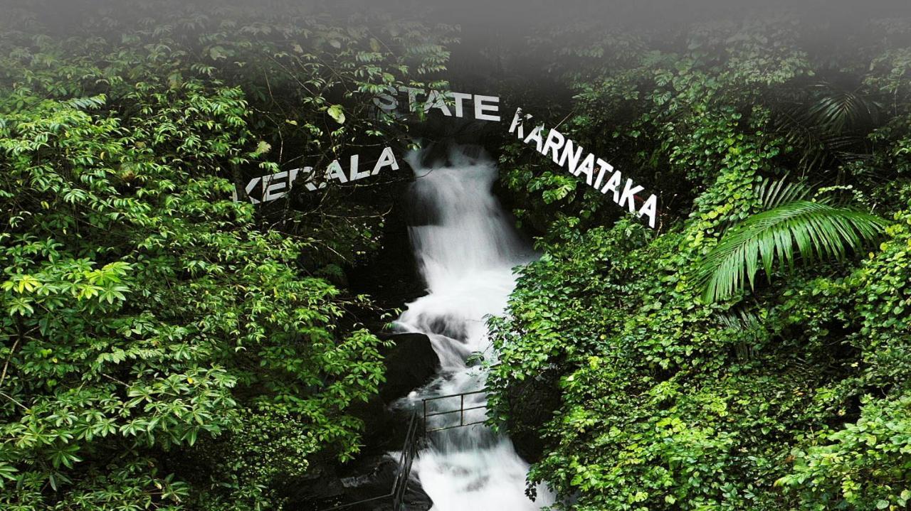 Paithalmala Holistic Stay Eco-Resort & Ayurvedic Retreat מראה חיצוני תמונה