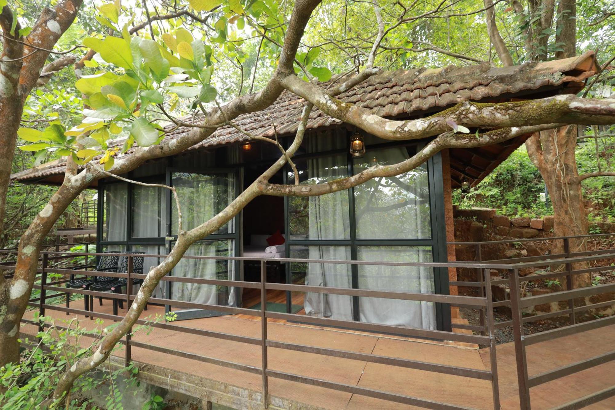 Paithalmala Holistic Stay Eco-Resort & Ayurvedic Retreat מראה חיצוני תמונה